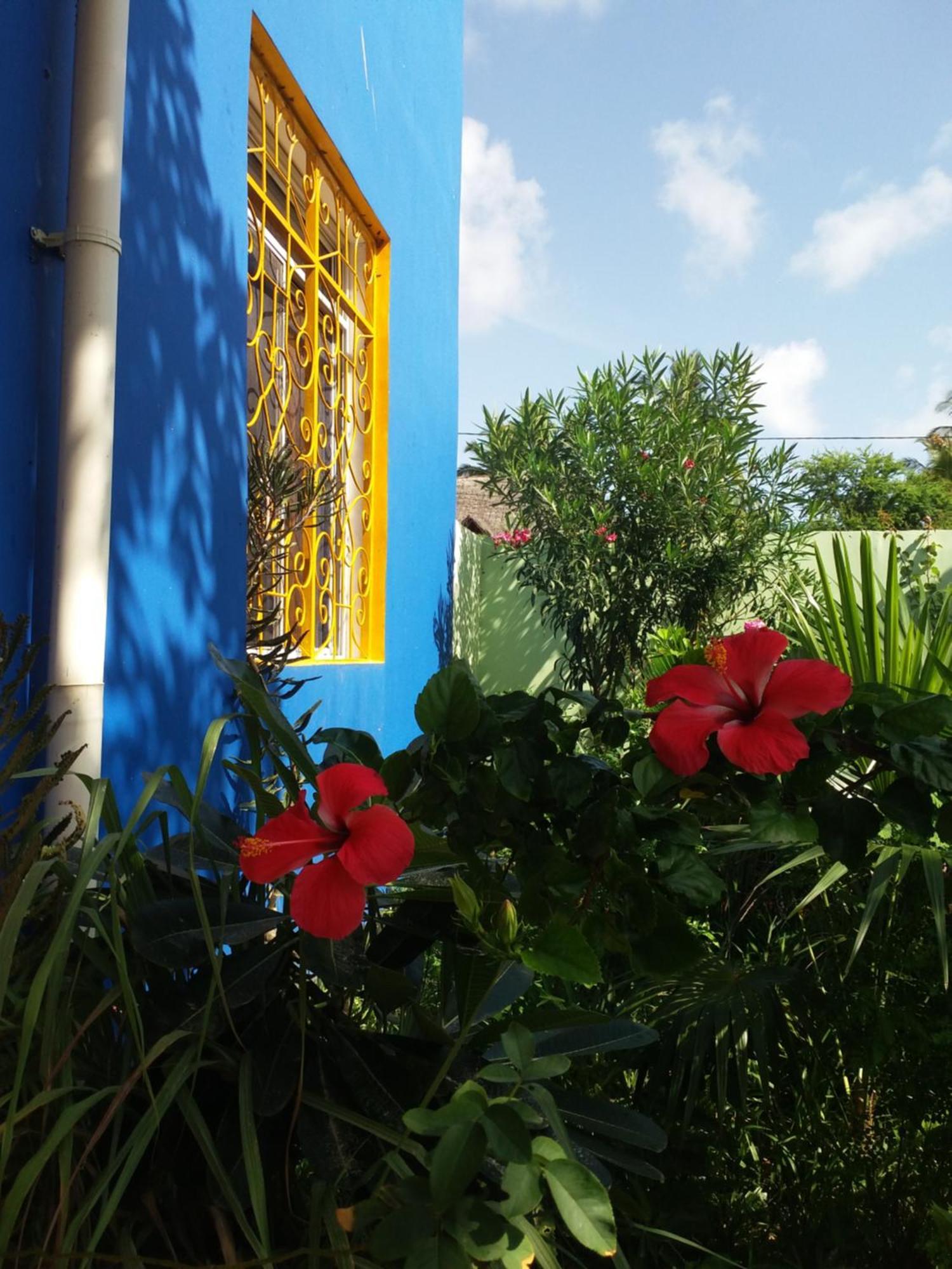 La Locanda Lodge - Apartment, 4 Double Rooms & Kitchen Near The Beach Jambiani  Exterior photo